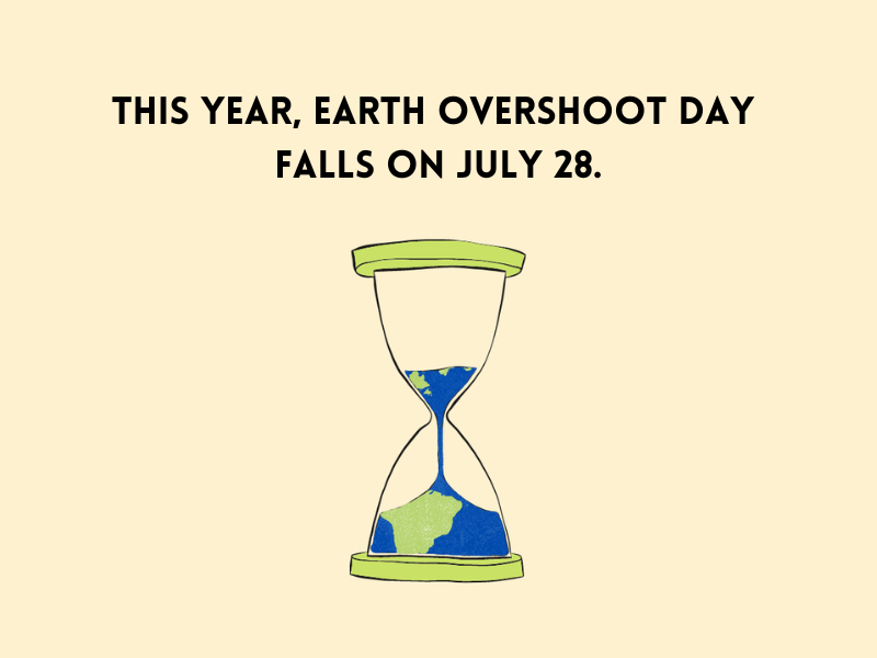 Schon wieder Earth Overshoot Day - Warum ist das ein Problem?